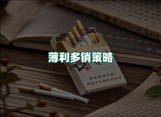 核心优势